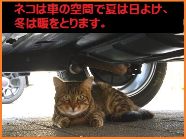 電子式猫よけ装置|12V車用|車|猫来ない |エンジンルーム猫|車の下|超
